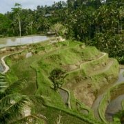 7DCD1B75-B117-4E2C-90AB-0BF40DD5CC76_1_201_a